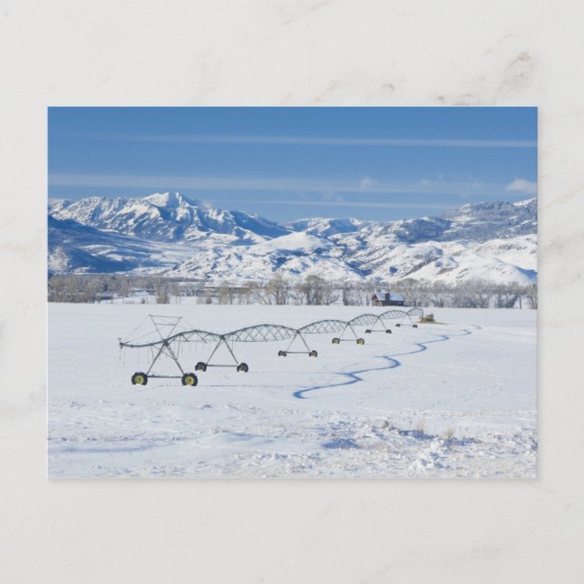 USA, MT, Farm near Livingston Postcard (Front)