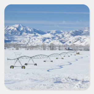 USA, MT, Farm near Livingston Square Sticker