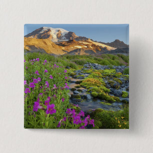 USA, Mt. Rainier National Park, Washington. 15 Cm Square Badge