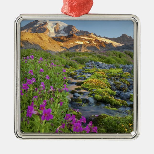 USA, Mt. Rainier National Park, Washington. Metal Tree Decoration (Front)
