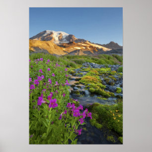 USA, Mt. Rainier National Park, Washington. Poster