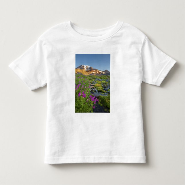 USA, Mt. Rainier National Park, Washington. Toddler T-Shirt (Front)