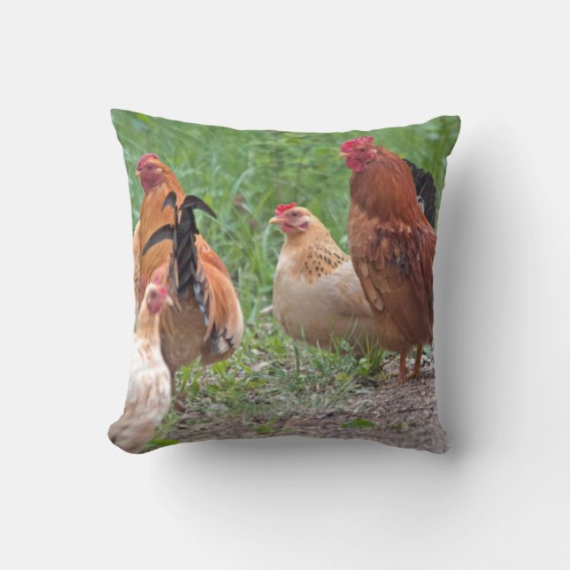 USA, Nebraska. Chickens Cushion (Front)