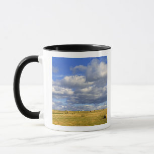 USA, Nebraska, Morrill County. Golden hay Mug
