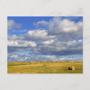 USA, Nebraska, Morrill County. Golden hay Postcard