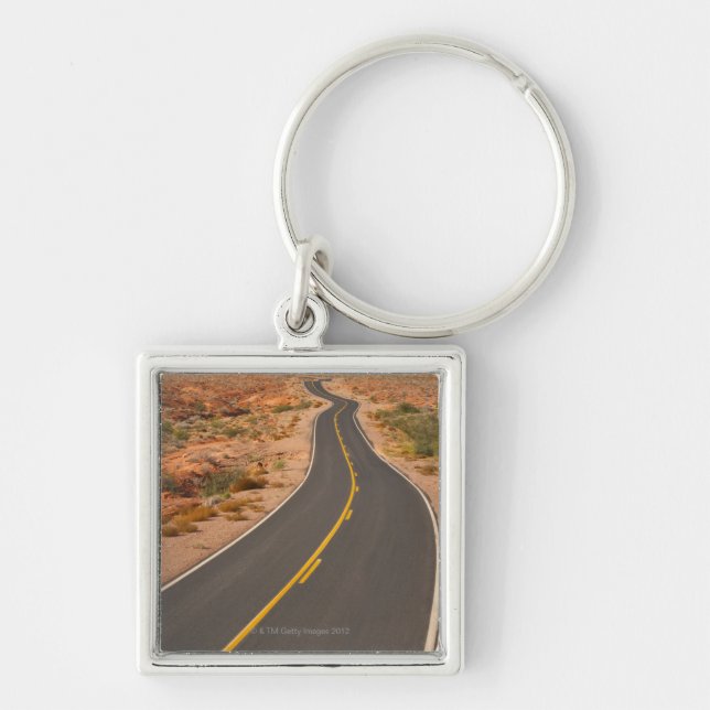 USA, Nevada, Valley of Fire, desert road Key Ring (Front)