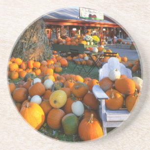 USA, New England, Maine, Wells. Autumn Display Coaster