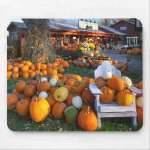 USA, New England, Maine, Wells. Autumn Display Mouse Pad