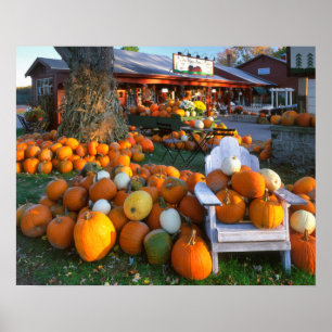USA, New England, Maine, Wells. Autumn Display Poster