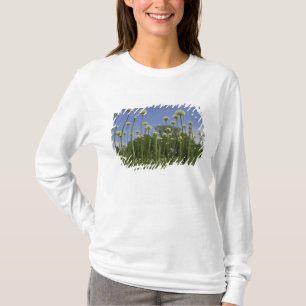 USA, New England, Massachusetts, Boston, 3 T-Shirt