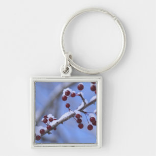 USA, New England, Massachusetts, Reading, 3 Key Ring