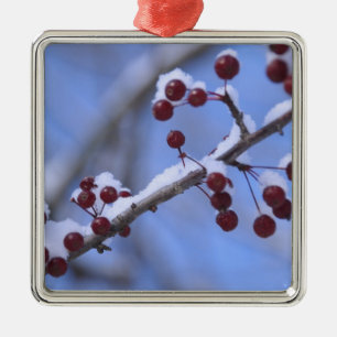 USA, New England, Massachusetts, Reading, 3 Metal Ornament