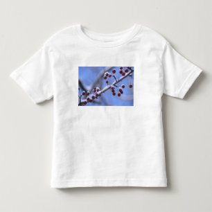 USA, New England, Massachusetts, Reading, 3 Toddler T-Shirt