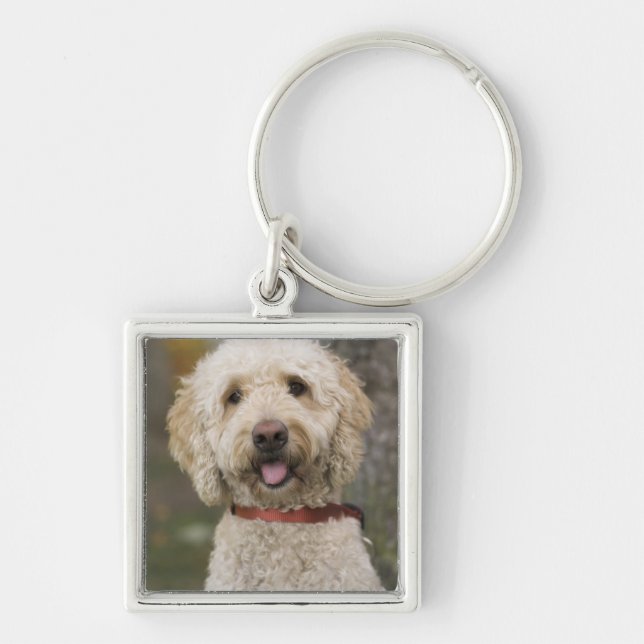USA, New England, Massachusetts, Reading, Key Ring (Front)