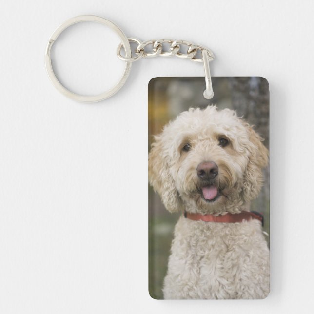 USA, New England, Massachusetts, Reading, Key Ring (Front)
