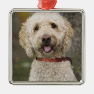 USA, New England, Massachusetts, Reading, Metal Tree Decoration