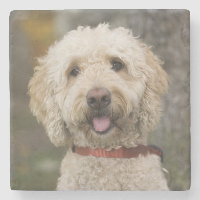 USA, New England, Massachusetts, Reading, Stone Coaster (Front)