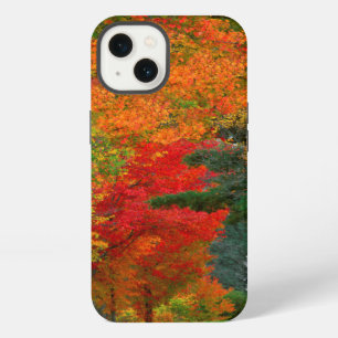 USA, New England, New Hampshire, Andover iPhone Case