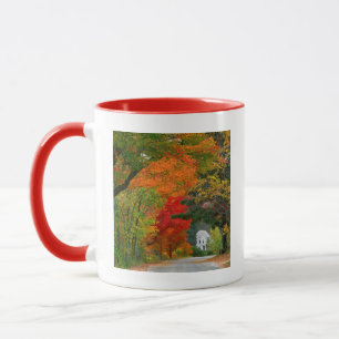 USA, New England, New Hampshire, Andover Mug