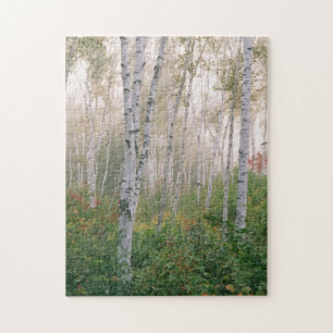 USA, New Hampshire. Birch trees in clearing fog Jigsaw Puzzle
