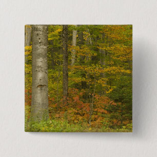 USA, New Hampshire, Livermore, White Mountain 15 Cm Square Badge