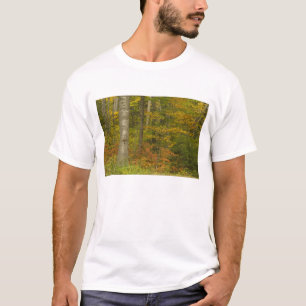 USA, New Hampshire, Livermore, White Mountain T-Shirt