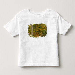 USA, New Hampshire, Livermore, White Mountain Toddler T-Shirt