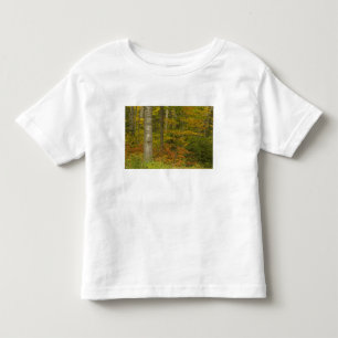 USA, New Hampshire, Livermore, White Mountain Toddler T-Shirt