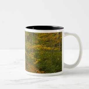 USA, New Hampshire, Livermore, White Mountain Two-Tone Coffee Mug