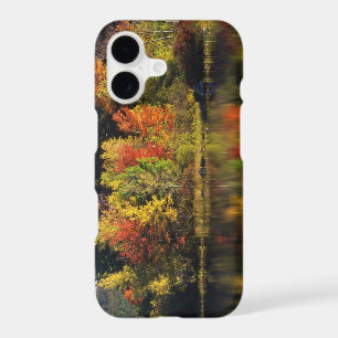 USA, New Hampshire, Moultonborough. Trees in