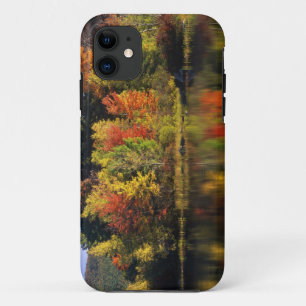 USA, New Hampshire, Moultonborough. Trees in iPhone 11 Case