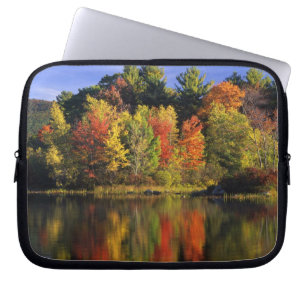 USA, New Hampshire, Moultonborough. Trees in Laptop Sleeve