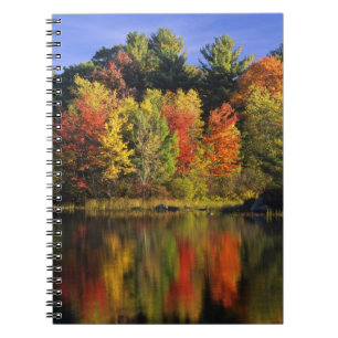 USA, New Hampshire, Moultonborough. Trees in Notebook