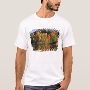 USA, New Hampshire, Moultonborough. Trees in T-Shirt