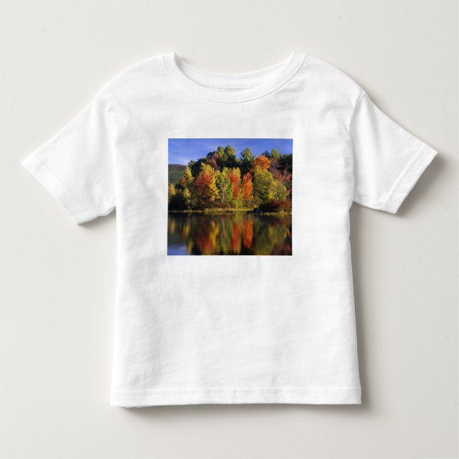 USA, New Hampshire, Moultonborough. Trees in Toddler T-Shirt (Front)