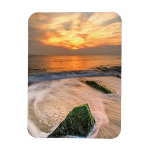 USA, New Jersey, Cape May. Scenic On Cape May 2 Magnet
