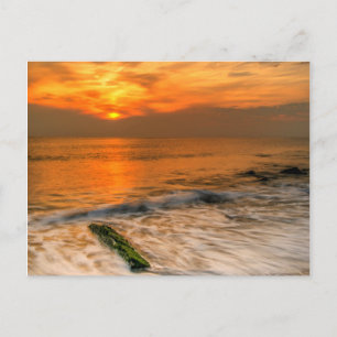 USA, New Jersey, Cape May. Scenic On Cape May 4 Postcard