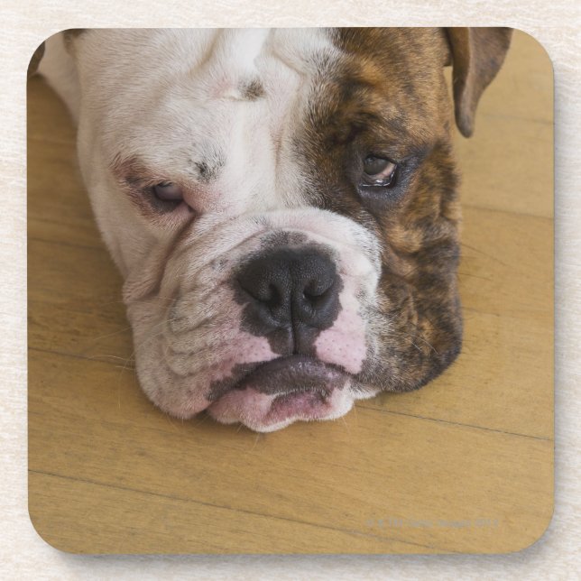 USA, New Jersey, Jersey City, Portrait of bored Coaster (Front)