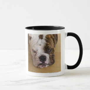 USA, New Jersey, Jersey City, Portrait of bored Mug