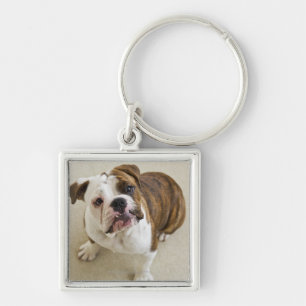 USA, New Jersey, Jersey City, Portrait of cute Key Ring