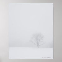 USA, New Jersey, Lonely tree in winter scenery