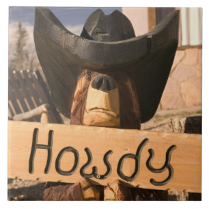 USA, New Mexico, Eagles Nest: The Enchanted Tile