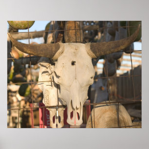USA, New Mexico, Mesilla: Historic Mesilla Plaza Poster