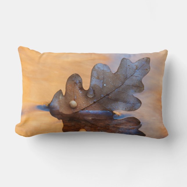 USA, New Mexico. Oak leaf in stream Lumbar Cushion (Front)