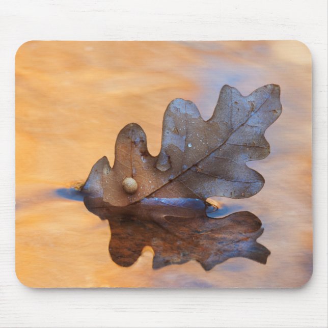 USA, New Mexico. Oak leaf in stream Mouse Pad (Front)
