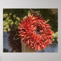 USA, New Mexico, Santa Fe: Downtown Santa Fe, 2