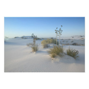 USA, New Mexico, White Sands National 2 Photo Print