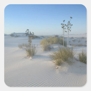 USA, New Mexico, White Sands National 2 Square Sticker