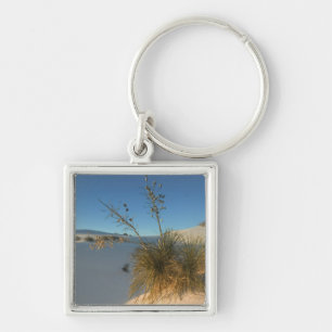 USA, New Mexico, White Sands National 3 Key Ring