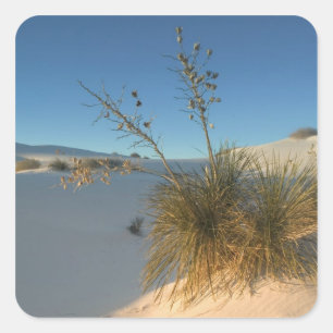 USA, New Mexico, White Sands National 3 Square Sticker